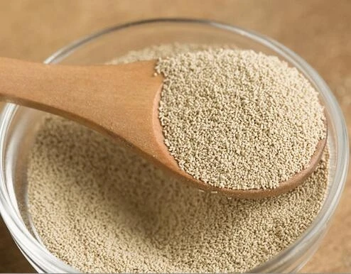 Instant Dry Yeast Market – Industry Trends and Forecast