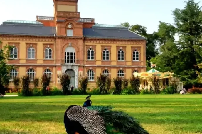 Unmissable Day Trips Near Tarbes: Top 15 Picks