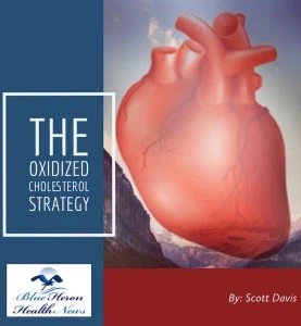 Your Heart Needs a Regular Beating to Stay Healthy