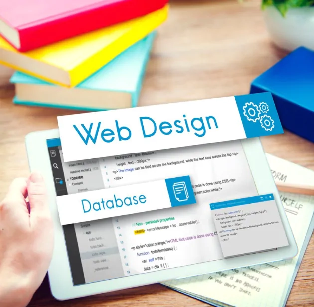 Why Choosing a Local SEO Company in Wellington Can Transform Your Business