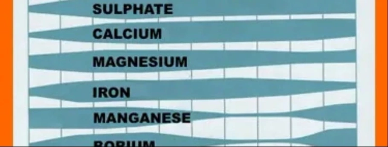 Der optimale pH-Wert für Hydrokultur und Boden: Ein Leitfaden von Metrop