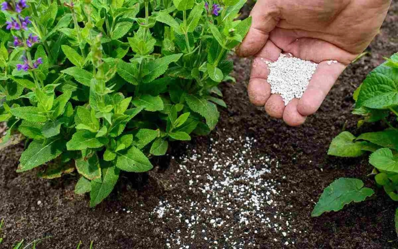 Fertilizer Sticks Market Growth, Share, Size, Scope and Forecast