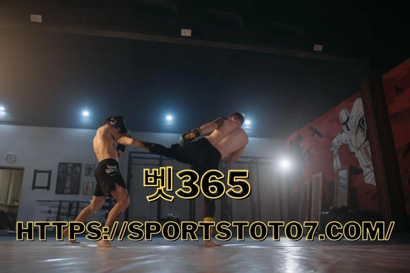 A Guide to Online MMA Betting
