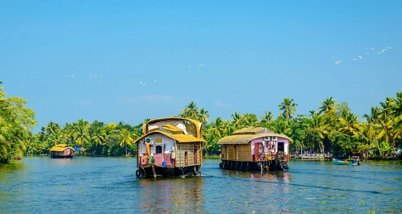 One Day Trip Places in Kerala That Offer Serenity and Fun