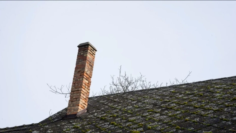 Say Goodbye to Moss: Top DIY Solutions for a Cleaner Roof