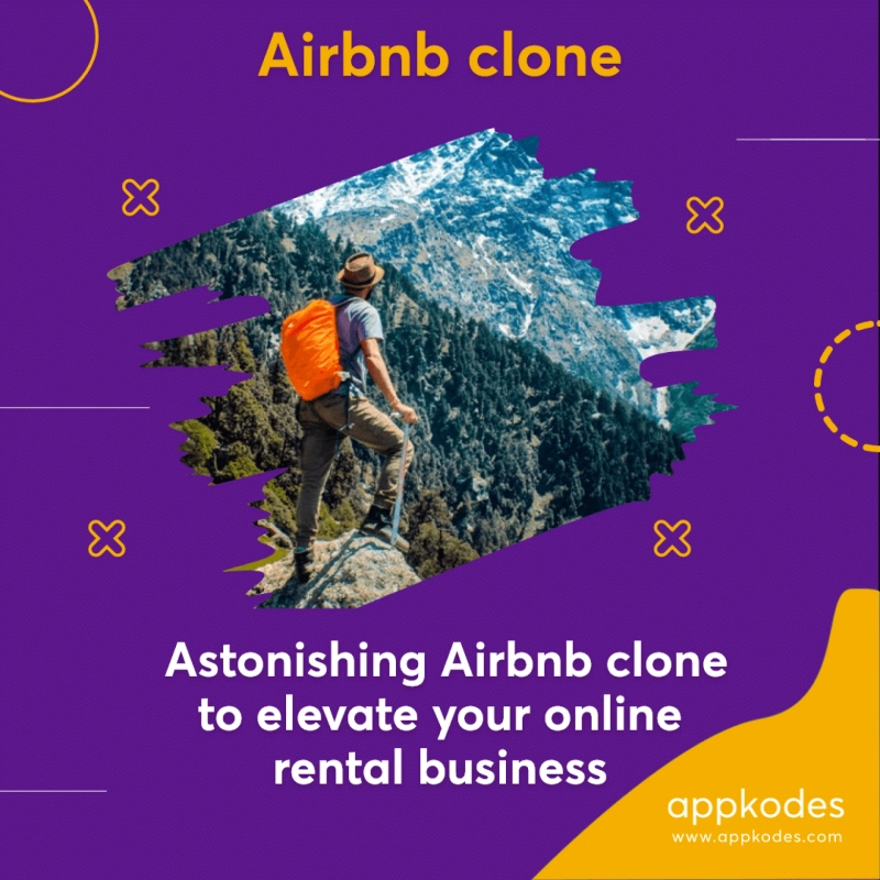 Set up a lucrative online business by building Airbnb like app