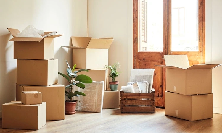 Tailored Relocations: Customized Moving Packages