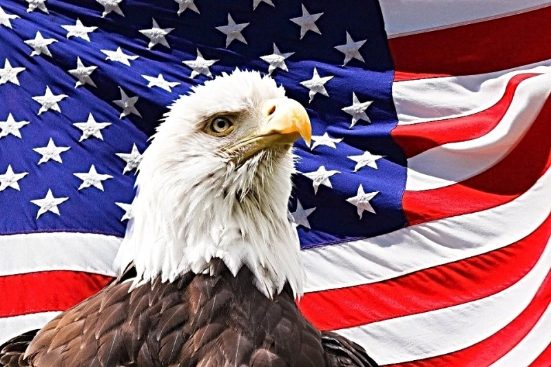 Why Instilling Patriotism In The New Generation Is Critical As Per Patriotic Blogs In United Sta