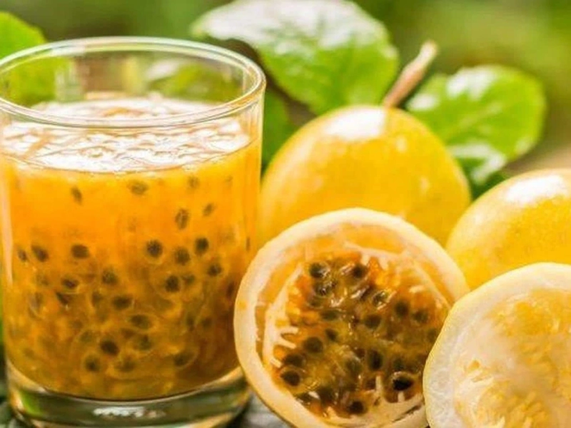 Sejarah Buah Alpukat