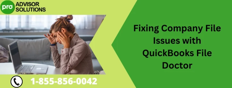 Learn How To Use QuickBooks File Doctor to fix issue