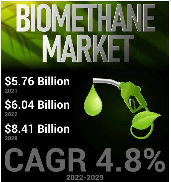 Biomethane Market Size, Share & Growth Report 2029