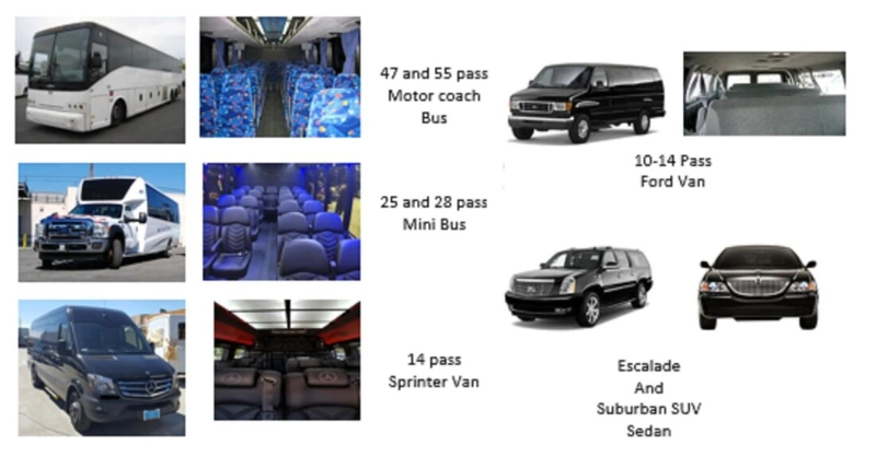 4 Things to Consider When Choosing a Limo Service