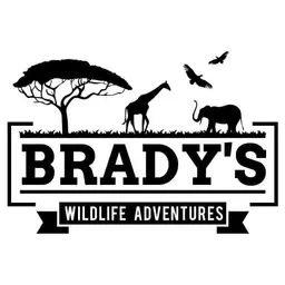 Experience the Best Tanzania Safari for Wildlife Enthusiasts with Brady’s Wildlife Adventures