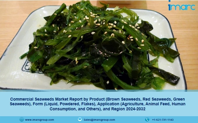 Commercial Seaweeds Market Size, Share, Trends Report 2024-32