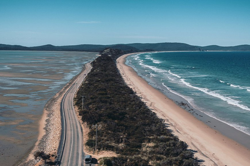 From Bruny Berries to Exciting Boat Tours - Explore Bruny Island With Us!