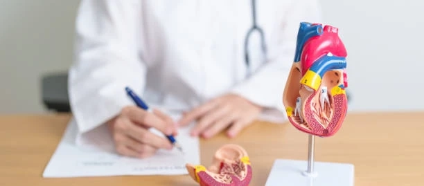 Why you should take care of your heart health the right way?