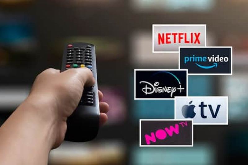 Several Popular Entertainment Streaming Platforms Dominate the Market
