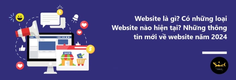 Website Là Gì? Tại Sao Website Lại Quan Trọng