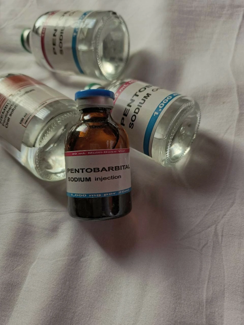 Compre pentobarbital sódico en línea para asistencia Whatsapp:+4915751490206 Correo electrónico: scotmicky@gmail.com Telegrama:scotmichael12