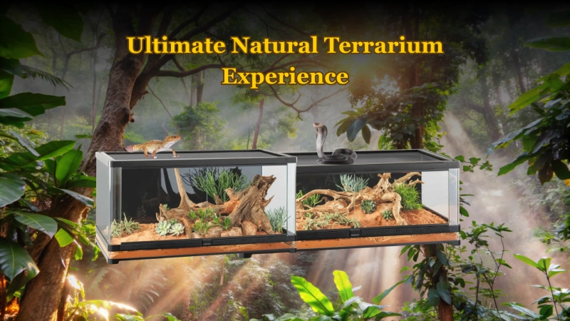 Before Choosing a Large Terrarium: Reptiles That Truly Benefit From It