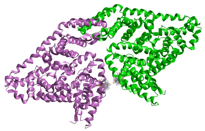 Bovine Serum Albumin Market Size, Share, Revenue, Business Growth Statistics And Analysis Report 2021 - 2028