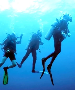 Coiba Scuba Diving: Explore the Ultimate Underwater Paradise