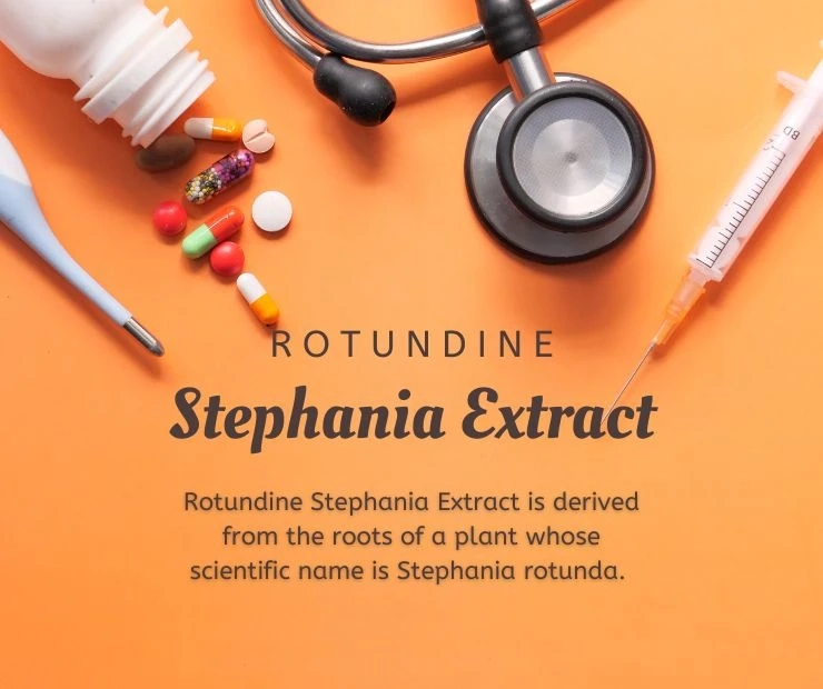 Knowing Rotundine Stephania Extract – Benefits, Uses and More