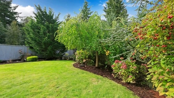 Calgary's Microclimates: Tailoring Landscaping Strategies to Your Location