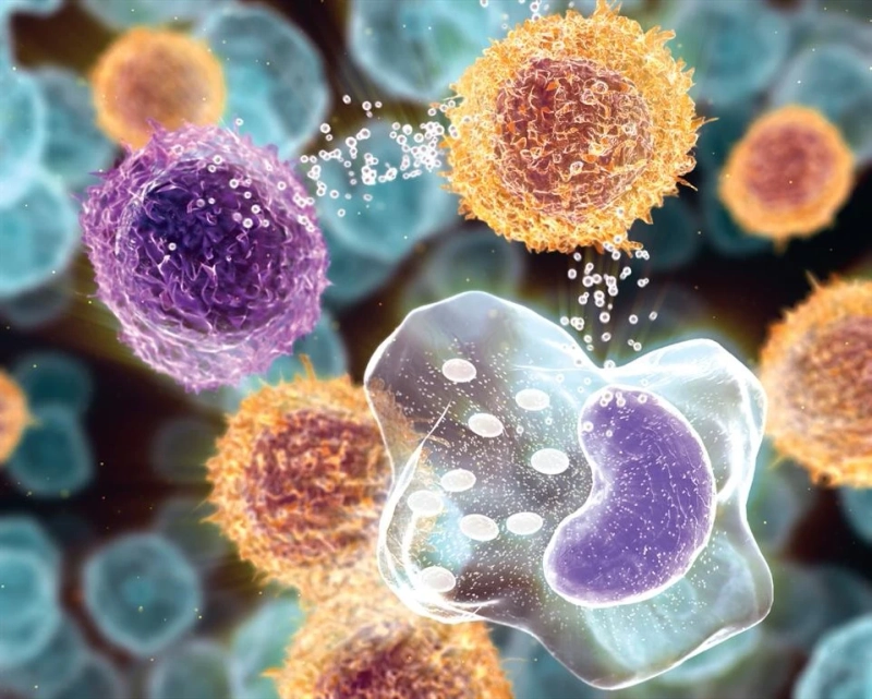 What is the Future of the Cytokine?