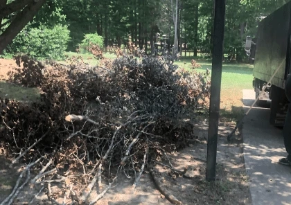 Raleigh Yard Waste Pickup Begins After Corona Virus