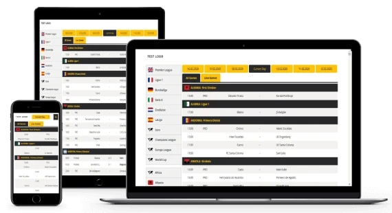 How Live Score API Integration Transforms User Experience
