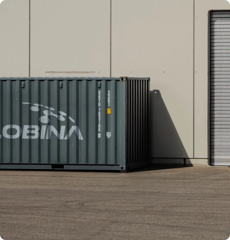 Express Cargo Shipping Services by Lobina – Essential for Businesses and Individuals 
