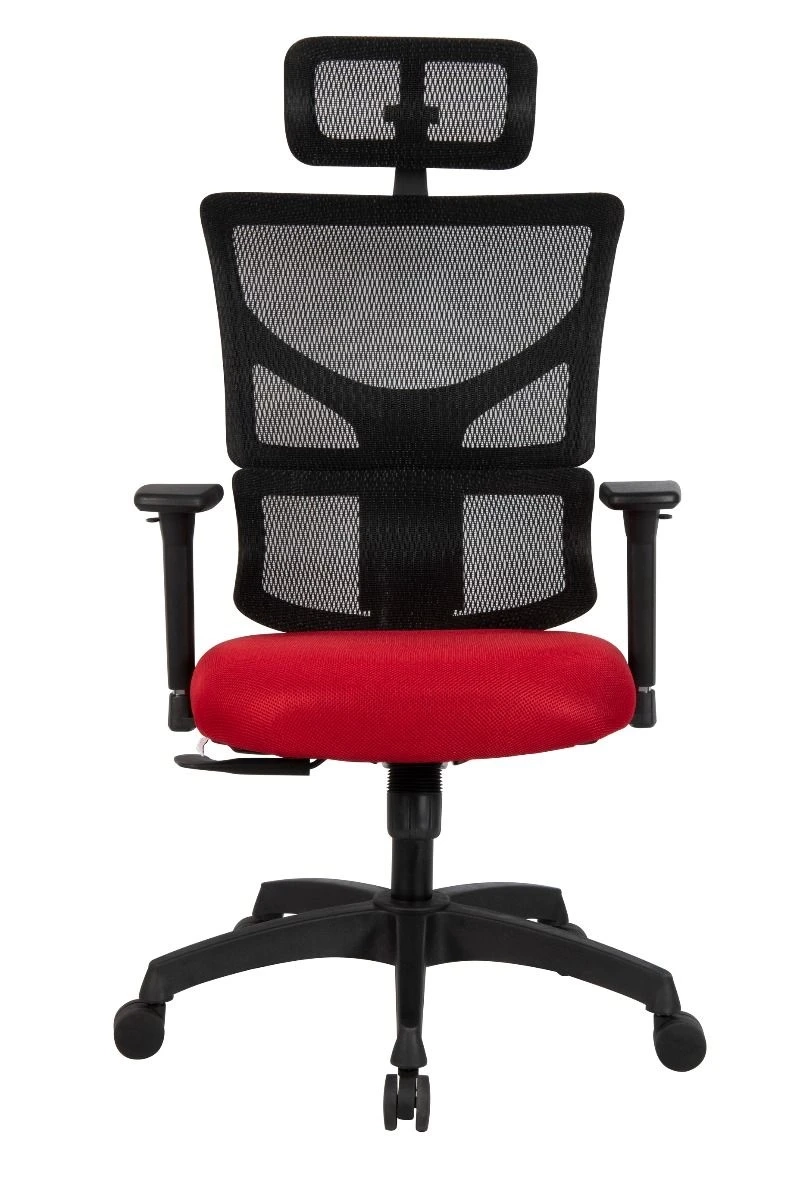 Find the Perfect Office Chair in Delhi: A Simple Guide