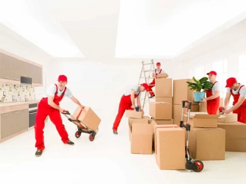 Why Professional Movers Offer More Than Just Moving Services