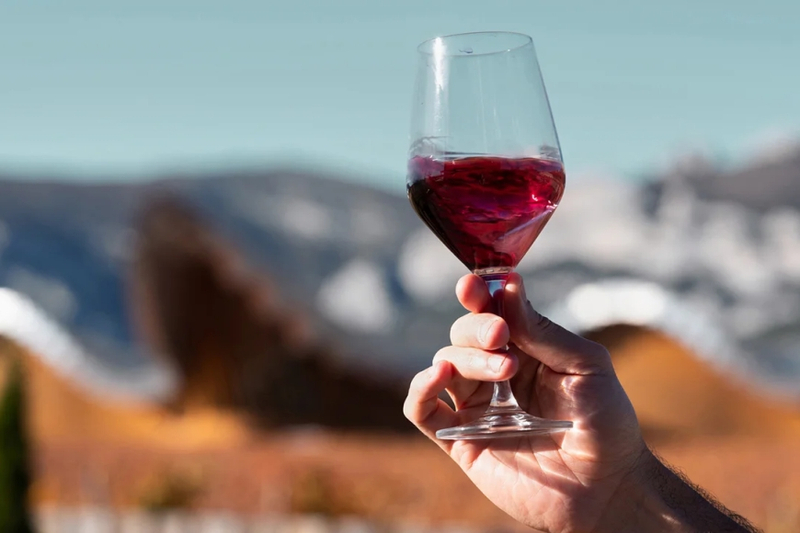 Unlocking the Art of Wine Collection: A Connoisseur's Journey
