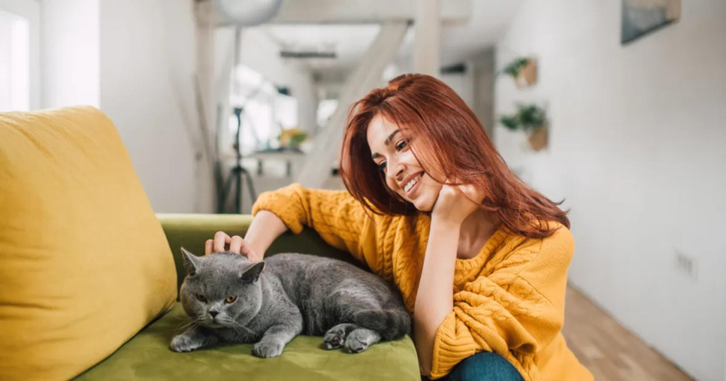 How to Get Coverage From Cat Sitter New Orleans LA 24/7?
