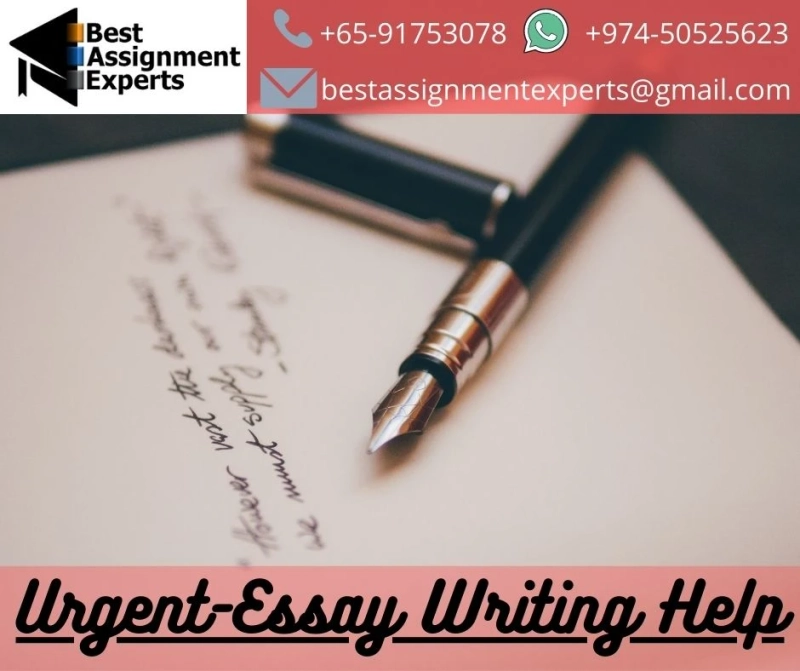 What are the benefits of having a Custom Essay Writing Service?