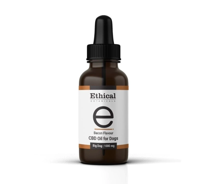 Essential Things to Know About CBD Oil