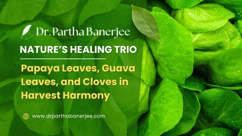 Nature’s Healing Trio: Papaya Leaves, Guava Leaves, and Cloves in Harvest Harmony