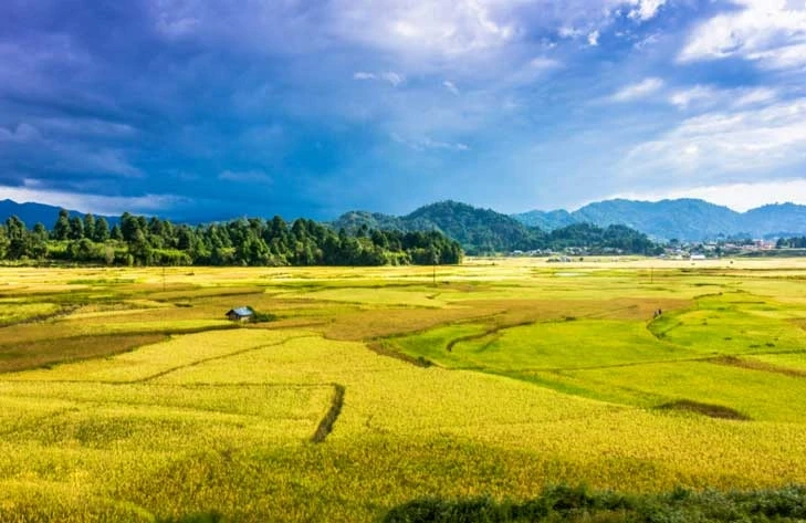 Arunachal Pradesh tour package from Delhi with NatureWings