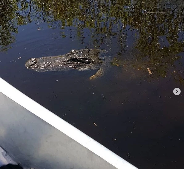 How Smart Travelers Choose a Wildlife Trip Near Miami That’s Worth the Time