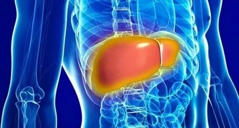 What Causes Fatty Liver?