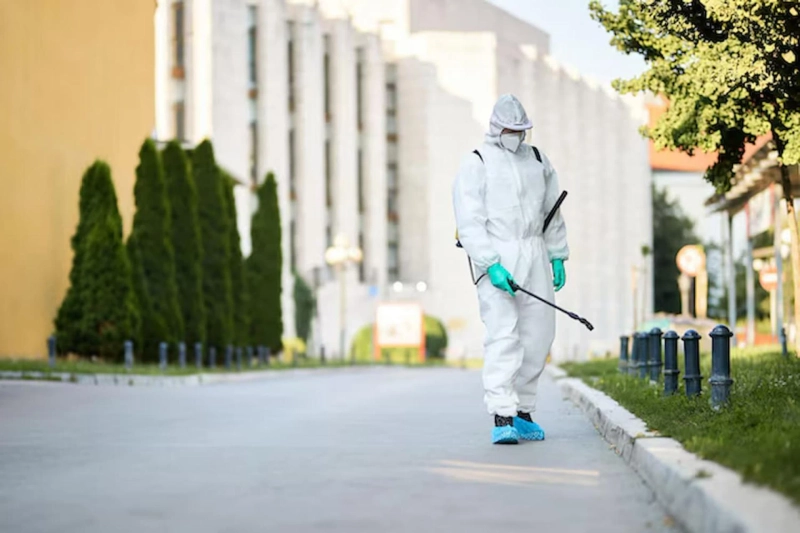 The Cost of Hiring an Exterminator in Salisbury, MD