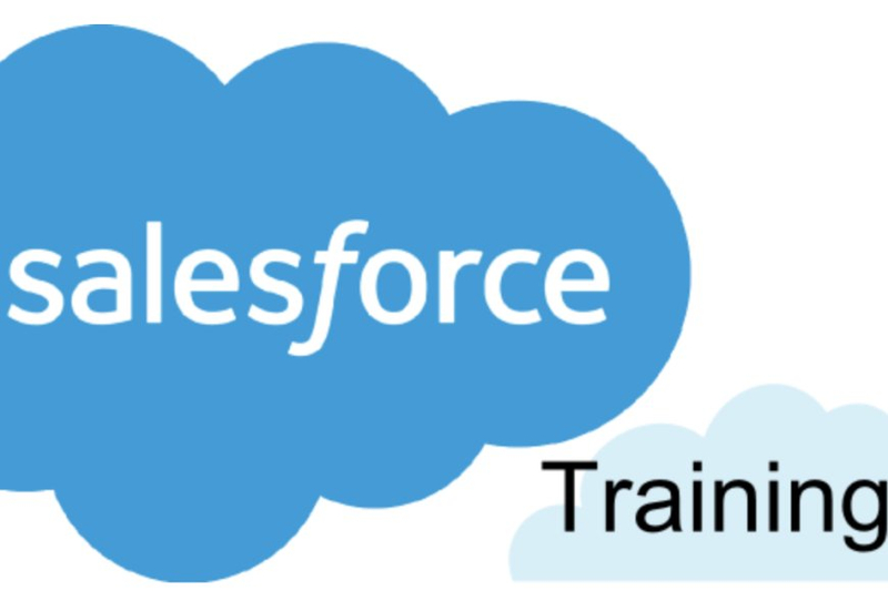 Elevate Your Skills: Unleash Potential with the Salesforce Course in Nagpur