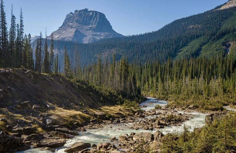 Natural Wonders: A Guide to the Best National Parks