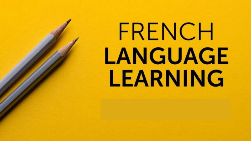 What Are the Benefits of Using Online Tutors for Learning French?