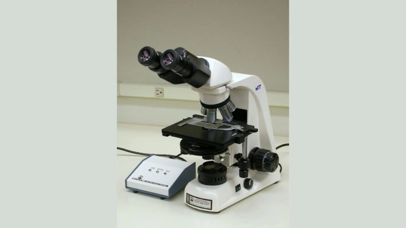 Microscope Preventive Maintenance & Services: Essential Care for Long-Term Performance