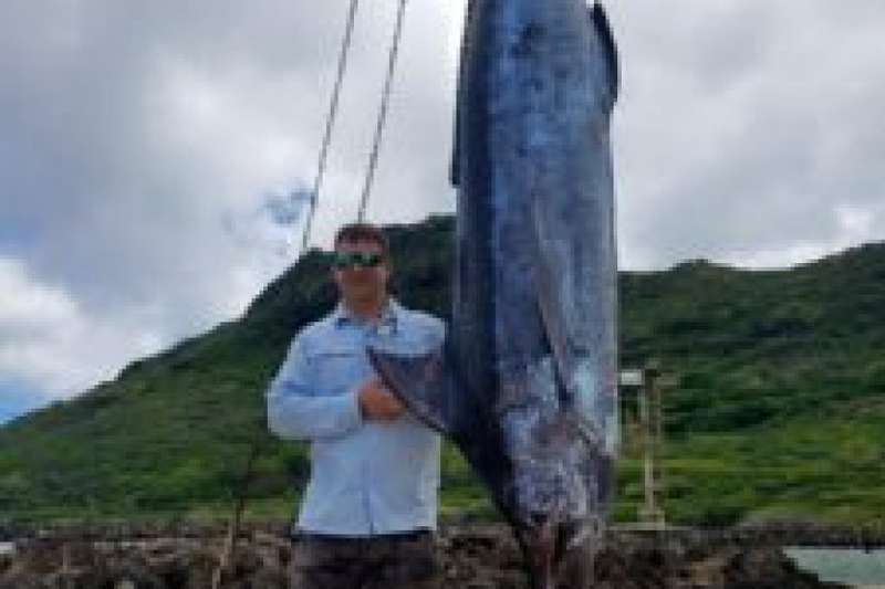 How Can You Master the Art of Blue Water Fishing?