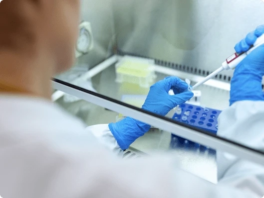 Mold Testing - Solve Problems Before They Grow Larger