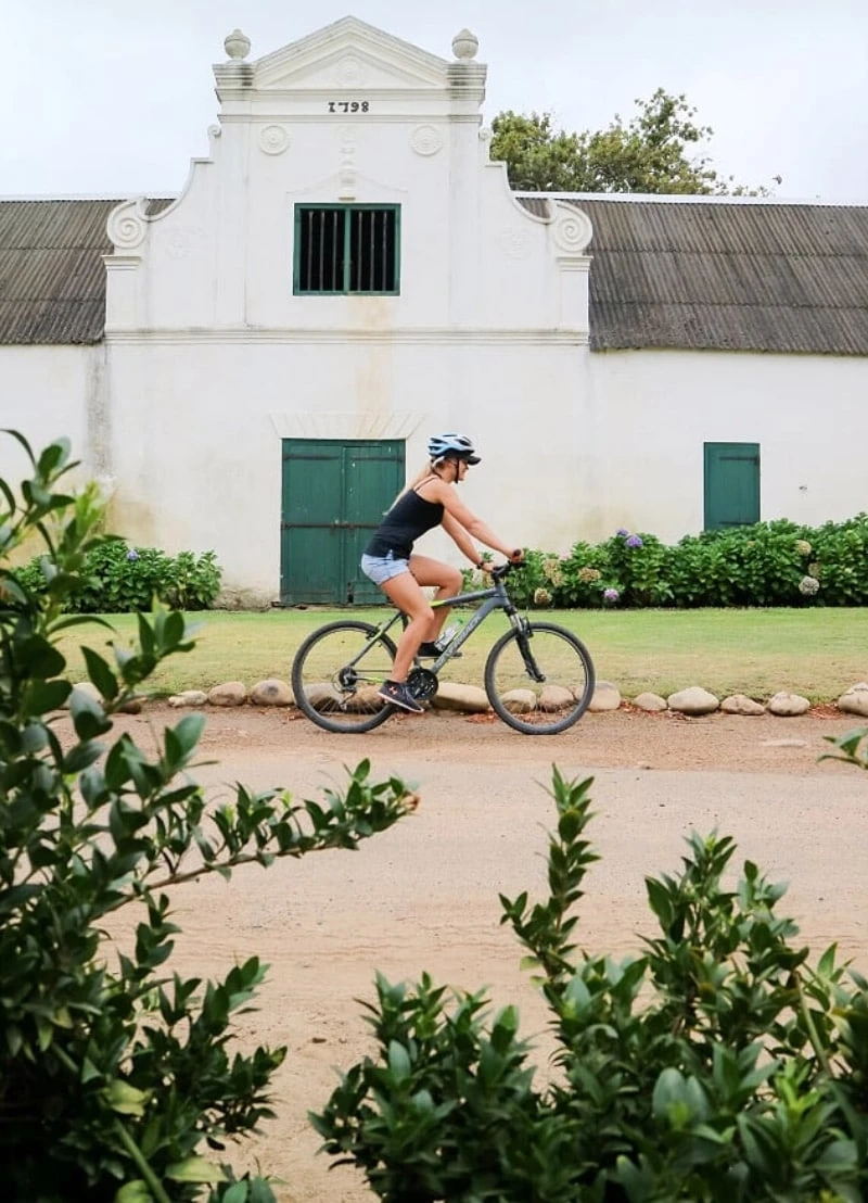 6 Benefits of Going on a Bike Tour on Your Vacation